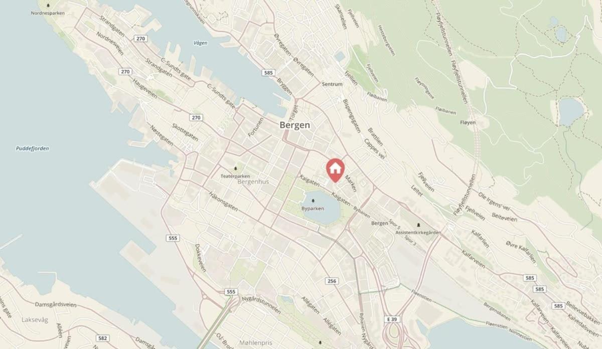 Dinbnb Homes I #1 Bnb In Bergen I Jacuzzi & Parking & Location ภายนอก รูปภาพ
